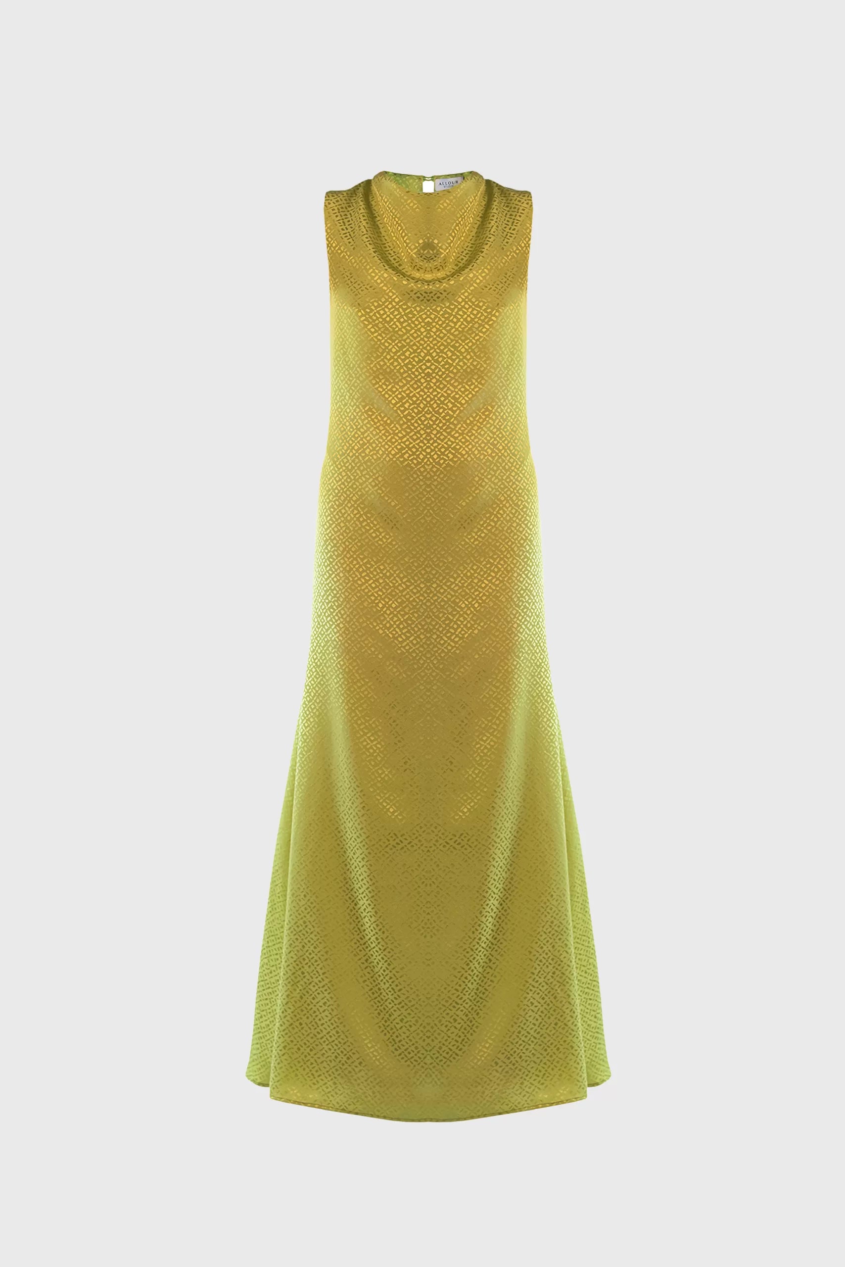 sleeveless fit and flare maxi dress-Long Dress Anita in Lime